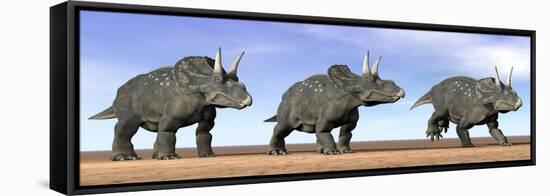 Three Nedoceratops Standing in the Desert-null-Framed Stretched Canvas