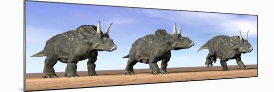 Three Nedoceratops Standing in the Desert-null-Mounted Art Print