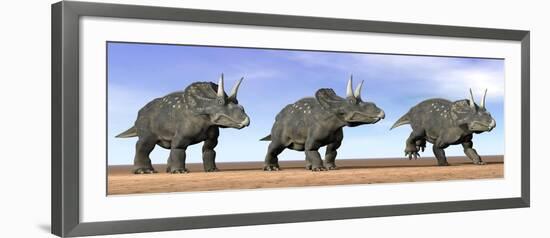 Three Nedoceratops Standing in the Desert-null-Framed Art Print