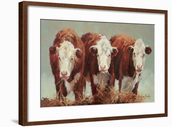 Three of a Kind-Carolyne Hawley-Framed Art Print