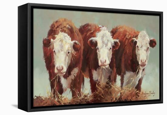 Three of a Kind-Carolyne Hawley-Framed Stretched Canvas