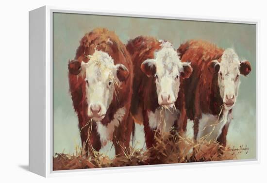 Three of a Kind-Carolyne Hawley-Framed Stretched Canvas