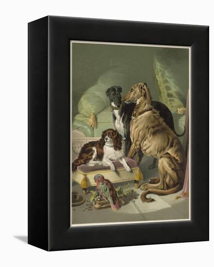 Three of Her Dogs, Dash Hector and Nero, and a Lory-null-Framed Premier Image Canvas