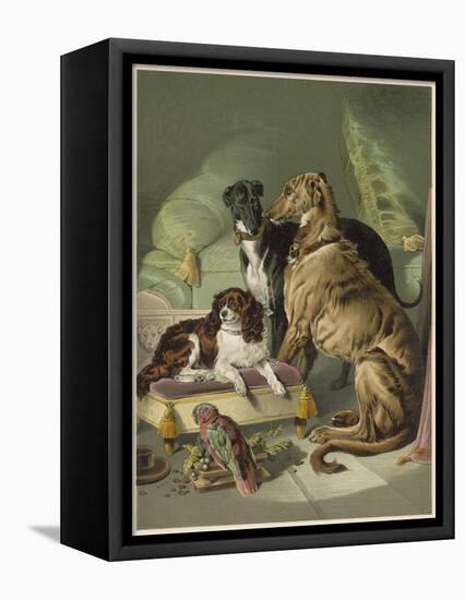 Three of Her Dogs, Dash Hector and Nero, and a Lory-null-Framed Premier Image Canvas