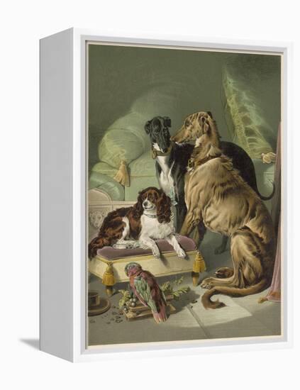 Three of Her Dogs, Dash Hector and Nero, and a Lory-null-Framed Premier Image Canvas