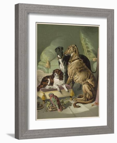 Three of Her Dogs, Dash Hector and Nero, and a Lory-null-Framed Photographic Print