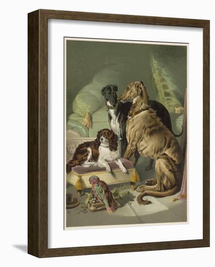 Three of Her Dogs, Dash Hector and Nero, and a Lory-null-Framed Photographic Print