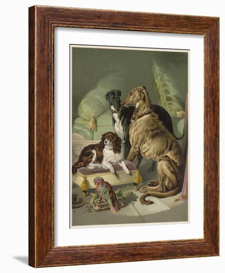 Three of Her Dogs, Dash Hector and Nero, and a Lory-null-Framed Photographic Print