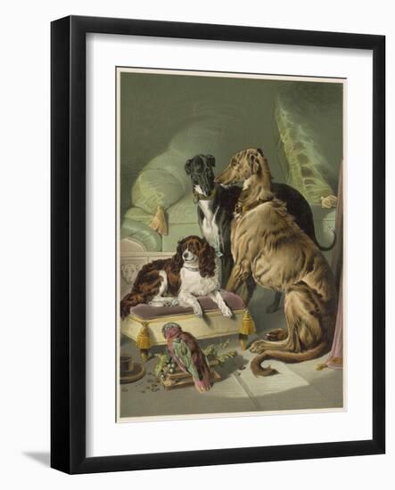 Three of Her Dogs, Dash Hector and Nero, and a Lory-null-Framed Photographic Print