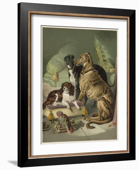 Three of Her Dogs, Dash Hector and Nero, and a Lory-null-Framed Photographic Print