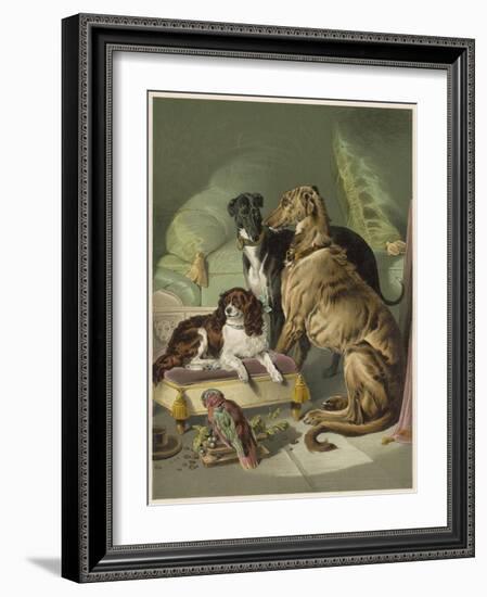 Three of Her Dogs, Dash Hector and Nero, and a Lory-null-Framed Photographic Print