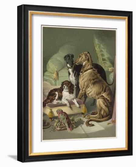 Three of Her Dogs, Dash Hector and Nero, and a Lory-null-Framed Photographic Print