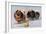 Three of Mrs. Hall Walker's Champion Pomeranians-null-Framed Art Print