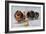 Three of Mrs. Hall Walker's Champion Pomeranians-null-Framed Art Print