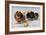 Three of Mrs. Hall Walker's Champion Pomeranians-null-Framed Art Print