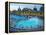 Three Outdoor Naturally Heated Pools and Several Indoor Pools at Szechenyi Baths, Budapest, Hungary-David Greedy-Framed Premier Image Canvas