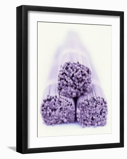 Three Packs of Buckwheat Noodles-Peter Medilek-Framed Photographic Print