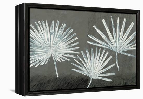 Three Palmettos-Steve Peterson-Framed Stretched Canvas