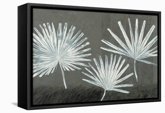 Three Palmettos-Steve Peterson-Framed Stretched Canvas