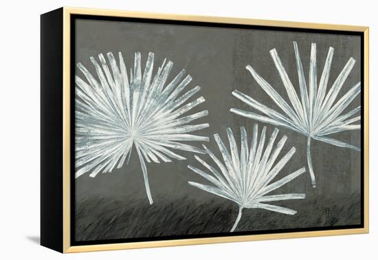 Three Palmettos-Steve Peterson-Framed Stretched Canvas