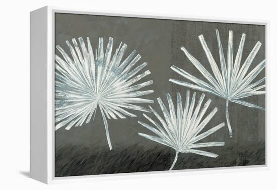 Three Palmettos-Steve Peterson-Framed Stretched Canvas