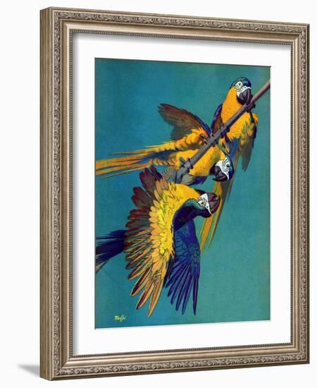"Three Parrots,"March 11, 1939-Julius Moessel-Framed Giclee Print