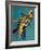 "Three Parrots,"March 11, 1939-Julius Moessel-Framed Giclee Print