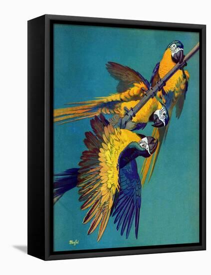 "Three Parrots,"March 11, 1939-Julius Moessel-Framed Premier Image Canvas