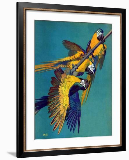 "Three Parrots,"March 11, 1939-Julius Moessel-Framed Giclee Print