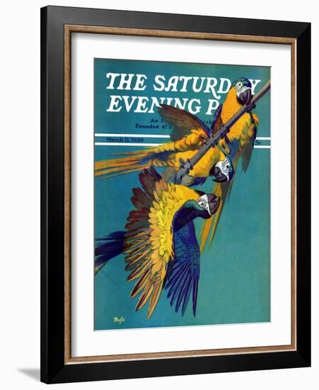 "Three Parrots," Saturday Evening Post Cover, March 11, 1939-Julius Moessel-Framed Giclee Print