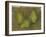 Three Pears, 1878-9-Paul Cezanne-Framed Giclee Print