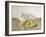 Three Pears on a Plate, Still Life, 1990-Arthur Easton-Framed Giclee Print