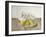 Three Pears on a Plate, Still Life, 1990-Arthur Easton-Framed Giclee Print