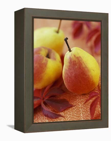 Three Pears-Vladimir Shulevsky-Framed Premier Image Canvas