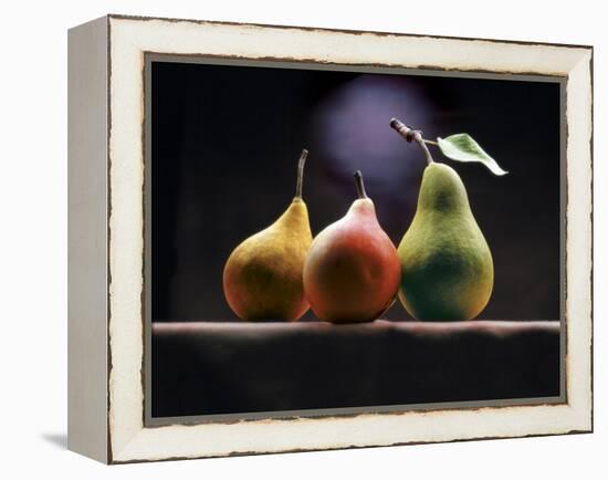 Three Pears-ATU Studios-Framed Premier Image Canvas