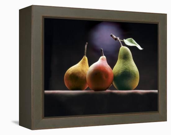 Three Pears-ATU Studios-Framed Premier Image Canvas