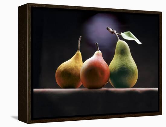 Three Pears-ATU Studios-Framed Premier Image Canvas