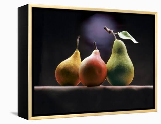 Three Pears-ATU Studios-Framed Premier Image Canvas