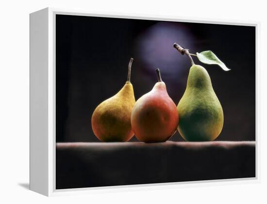 Three Pears-ATU Studios-Framed Premier Image Canvas