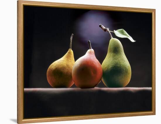 Three Pears-ATU Studios-Framed Premier Image Canvas