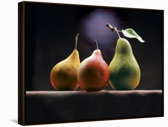 Three Pears-ATU Studios-Framed Premier Image Canvas