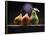 Three Pears-ATU Studios-Framed Premier Image Canvas