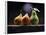 Three Pears-ATU Studios-Framed Premier Image Canvas