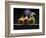 Three Pears-ATU Studios-Framed Photographic Print