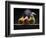 Three Pears-ATU Studios-Framed Photographic Print