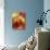 Three Pears-Vladimir Shulevsky-Photographic Print displayed on a wall