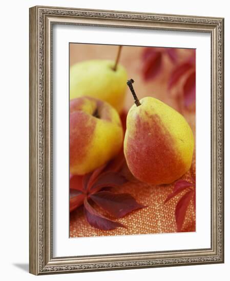 Three Pears-Vladimir Shulevsky-Framed Photographic Print