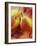 Three Pears-Vladimir Shulevsky-Framed Photographic Print