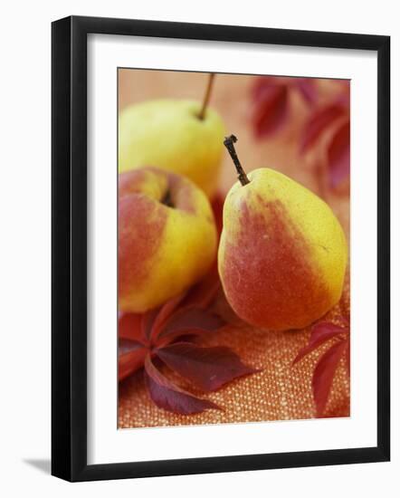 Three Pears-Vladimir Shulevsky-Framed Photographic Print