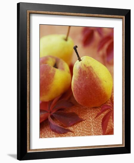 Three Pears-Vladimir Shulevsky-Framed Photographic Print